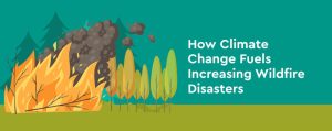 How Climate Change Fuels Increasing Wildfire Disasters
