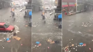 New York Flooding Impacts Marine Pollution and Ecosystems
