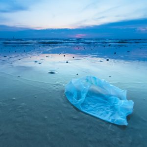 New South Wales Single-Use Plastic Ban Makes Big Waves
