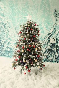 Fake vs. Real Christmas Trees and their Environmental Impact