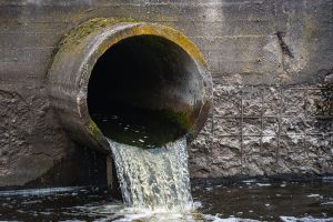 Regulating Persistent Organic Pollutants (POPs) and Their Impact on Humans and Marine Mammals