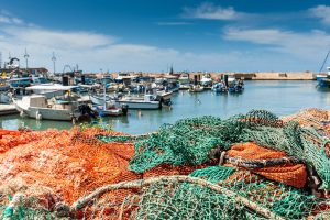 Sharing Our Oceans: International Fishing Treaties