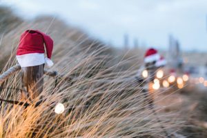 Want to Make the Holidays Happy for Our Oceans? Here are Some Sustainable Gift Ideas