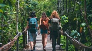 Ecotourism: Traveling With an Impact