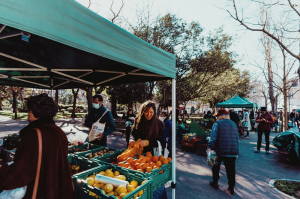 Why Your Grocery Habits Matter: The Climate Impact of Industrial Farming