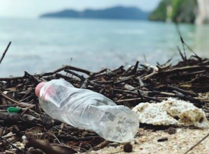 The Dual Challenge of Plastic and Water