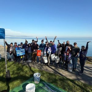 The Effectiveness of Beach Cleanups: Tackling Microplastic Pollution