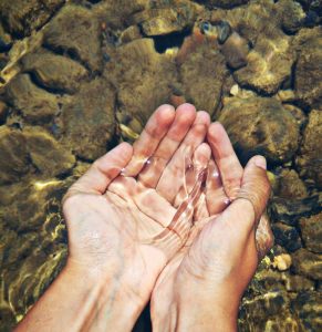 Florida’s Freshwater Ecosystems, Part 2: Clean Water as the Center of Human and Economic Health
