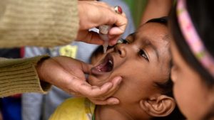 Environmental Developments & Disease Transmission: A Climate Action & Advocacy Project