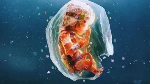 Join Us to Watch Plastic People
