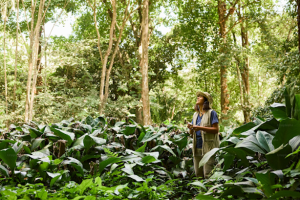Innovation in Conservation: New Methods for Preserving Species