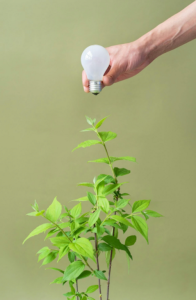 Tackling your Carbon Footprint