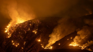 Crisis on the California Wildfires