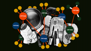 Forever Chemicals, Forever Problems: How PFAS Contaminated Our World