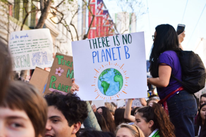 Educational Videos for Sustainability: Techniques for Creating Engaging Environmental Content