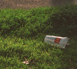 Ba-Da-Ba-Ba-Back In My Day: Environmental Impacts of Nostalgia