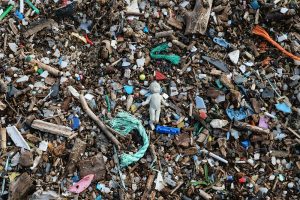 Harmful Effects of Microplastics for Children