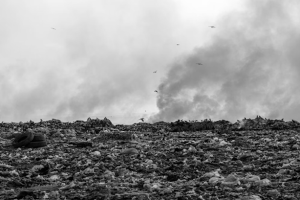 Onondaga Lake: What We Can Learn from the Most Polluted Lake in America.