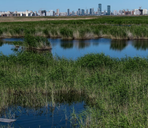 The Devastating Effects of Fast Fashion on Water Pollution