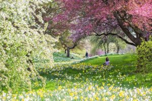 Eco-Conscious Tips for This Spring