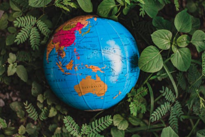 How Media Monitoring Reveals Global Trends in Ocean Conservation