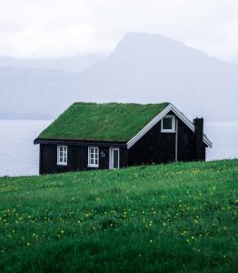 Sustainable Roofing for Coastal Homes: Why Steel Leads the Way