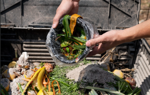 Exploring Food Waste: Causes and Effects