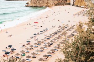 The Environmental Effects of Vacations