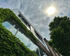Urban Heat Islands: Why Our Cities Are Heating Up and How We Can Cool Them Down