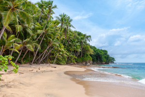 Picking up Paradise