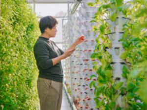 Feeding a Growing World