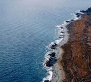 Microbial Bioremediation Techniques for Oil Spills: Addressing Oil Contamination