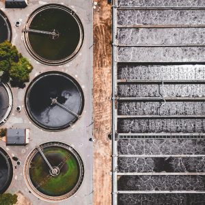 Beyond the Drain: The Hidden Impact of Water Treatment on Ocean Health