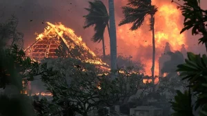 The Maui Wildfires: Deadliest in Hawaiian History and How to Help