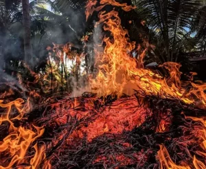 This Month in Climate History