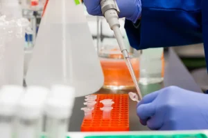 Current Events: New Study Finds Climate Change Could Spark the Next Pandemic