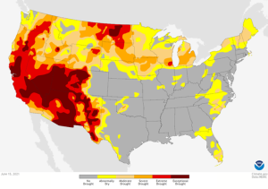 This Month in Climate Change History: June 2021 was the Hottest June on Record for the U.S.
