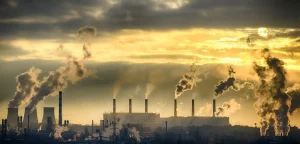 Projects Tackling Climate Change: University of Oxford’s Greenhouse Gas Removal Cooperative