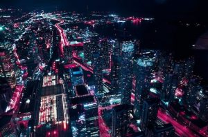 The Disruptive Effects of Light Pollution on Migratory Patterns