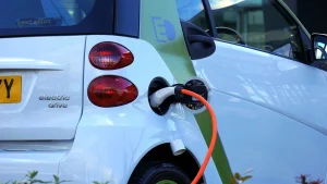 The Effects of California’s Ban on Carbon Emission Cars