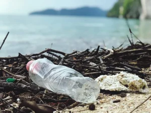 Deliberations on a Plastic Pollution Treaty