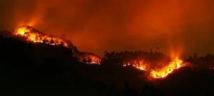 Wildfires and Climate Change