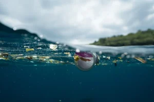Climate History: The Great Pacific Garbage Patch Mega Expedition