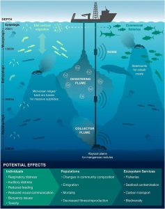 Mining For Answers: Is Deep Sea Mining Necessary in the Fight Against Climate Change?
