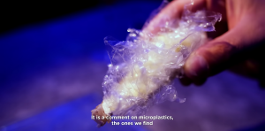 I’m Eating What? Microplastics in the Food Chain