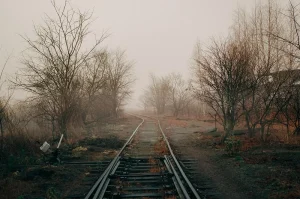 The Derailment of Norfolk Southern: Chemical Plume  Madison Woodward