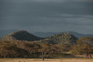 From Climate Change to Locusts Jacob Greenlee