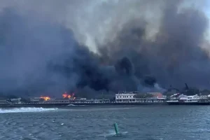 Maui in Flames: The Environmental Toll of Coastal Wildfires