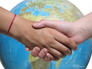 Finding the Middle Ground: Environmental Ethics and Effective Problem Solving