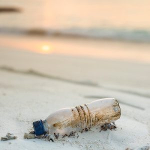 The Plastic Problem on Easter Island